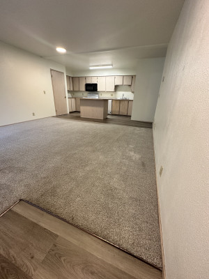 4x2 Kitchen/Living area